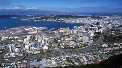 Wellington seeks overseas talent as IT industry explodes