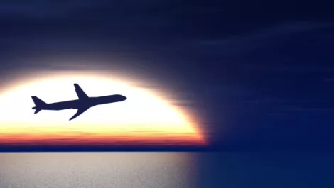 Serko: Flying high in the Kiwi sky...