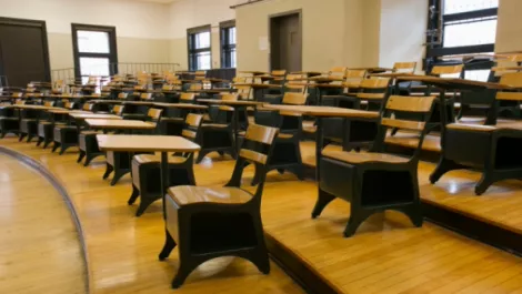 Introducing virtual universities...