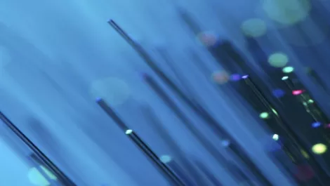 Govt. $1.5b fibre network recipe for disaster – WorldxChange