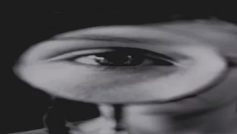 Tauranga firm talks up monitoring solution