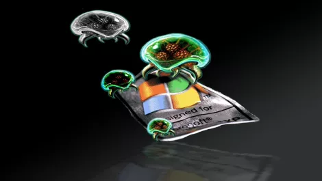 Kiwis lead the world in Windows XP migration shift...