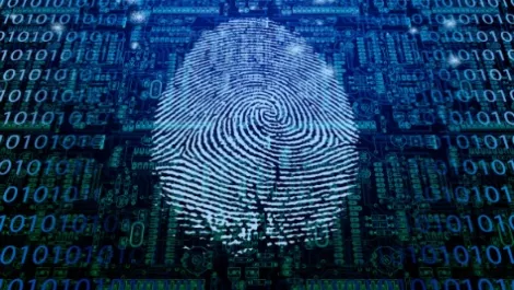 Westcon Group expands NZ security portfolio with Palo Alto Networks