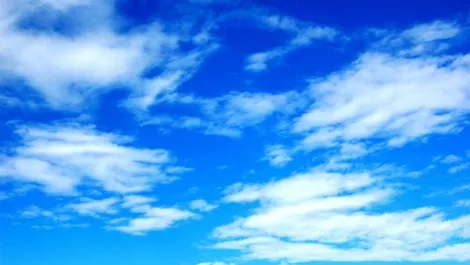 Spark partners with Pacific MVNO Bluesky
