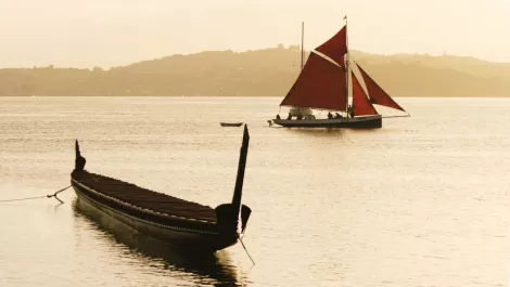 Chinese execs to experience 'wayfinding' approach to Maori business style