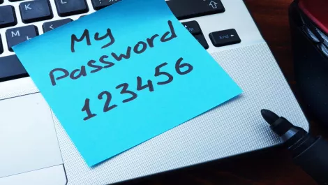 Our lax attitude to passwords is 'leaving the front door open' to trouble