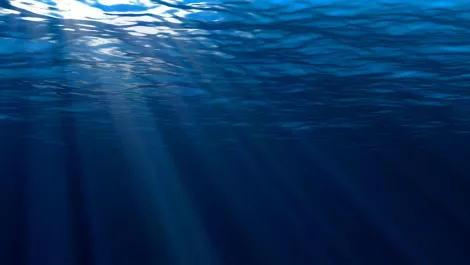 Taking subsea cable systems to the heart of interconnection