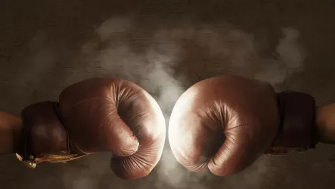 TeamTalk fights back against Spark's 'hostile takeover bid'