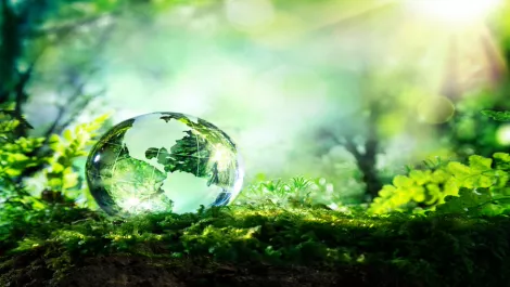 Schneider Electric opts for sustainability route with latest solution
