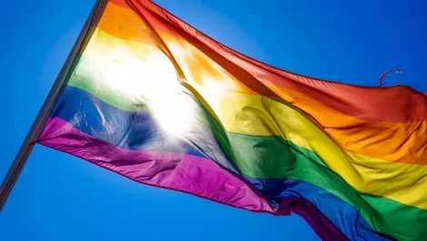 Spark gets rainbow tick of approval for workplace diversity & inclusion
