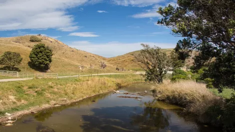 Using robotics, IoT & data analytics to clean up NZ's waterways