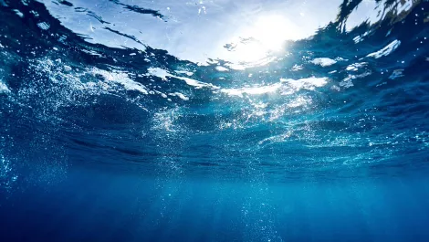 Submarine cable boom fueled by new tech, soaring demand