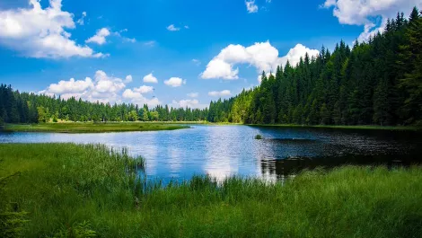How to stop data lakes from getting swamped