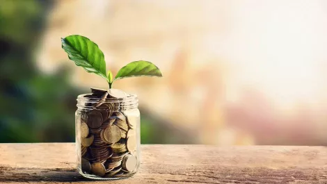 SMBs – Do you know your financial support options?