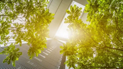 Hong Kong shines at workplace culture awards