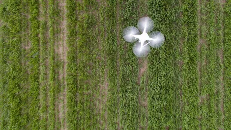 How Microsoft's new drone deal will help farmers combat crop disease