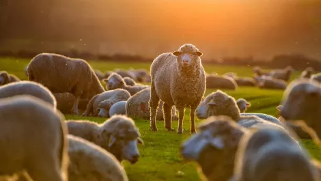 Vodafone buys remaining 30% stake in Farmside for $3 million