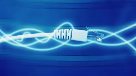 White box losing out to brands in 100 GE switching market