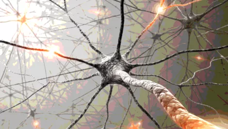 Cisco's vision for the central nervous system of IT