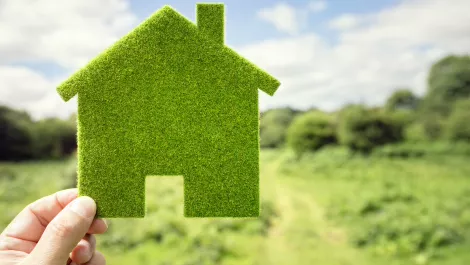 Google Assistant's clever ways to help smart homes go green