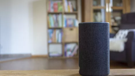 Voice control to account for one-third of smart home market