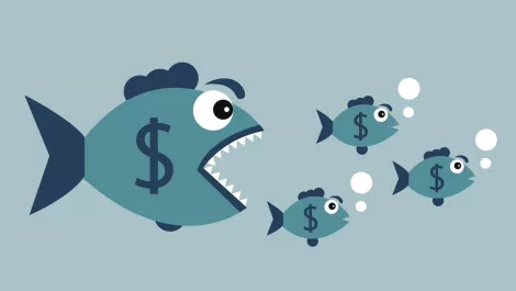 Google, Apple, Amazon financial moves could impact NZ