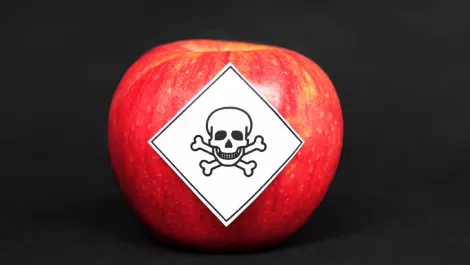 Hackers hit Apple with ransomware, MacBook design files exposed