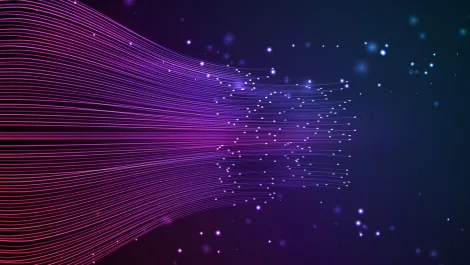What is network optimisation and why is it so important?