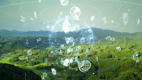 WQR: 72% orgs link quality engineering to sustainable IT
