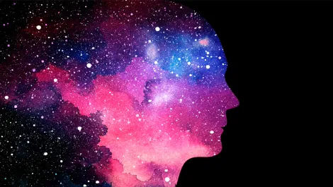 Bringing the next wave of Artificial Intelligence to Creative Cloud