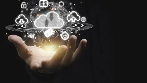 Bailey implements SAP Cloud for transparency and mobility