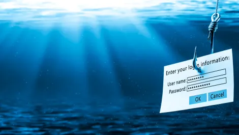 Phishing preys on known brands such as Microsoft and Adobe - report