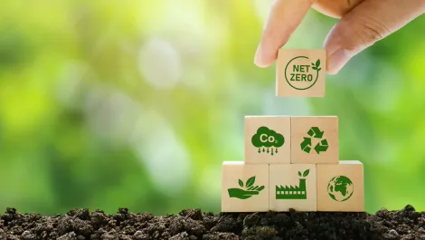 NZ's first hyperscale data centres now first net carbon zero