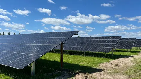 Oravida turns to solar to power export-focused growth