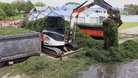 Rotorua's costly weed mystery mapped, but Lakefront problem remains